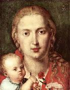 Albrecht Durer, The Madonna of the Carnation